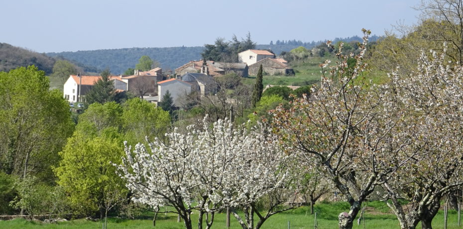 Vélieux - Crédit photo : Alain Perez / CAUE 34, 2019